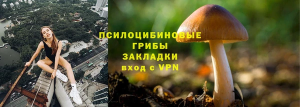 прущие крисы Нягань