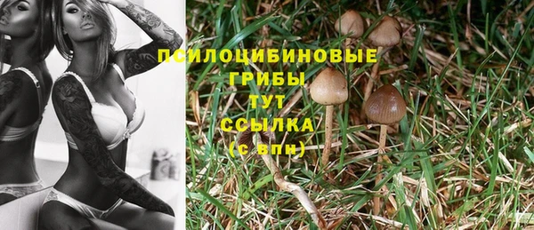 твердый Нязепетровск