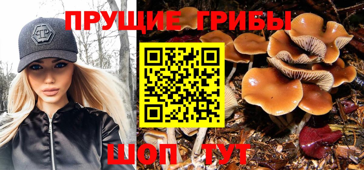 Псилоцибиновые грибы GOLDEN TEACHER  Вход с VPN  Кимовск 